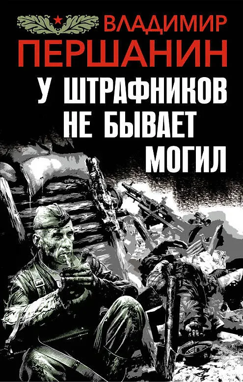 Книга У штрафников не бывает могил (Владимир Першанин) — 1