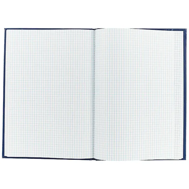 Книга учёта, клетка, 96 листов, А4 227866 — 2