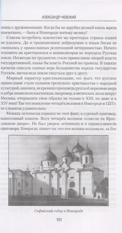 Книга Александр Невский (Андрей Богданов) — 6