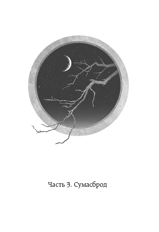 Книга Топить в огне бушующем печали. Том 2. (Priest) — 16