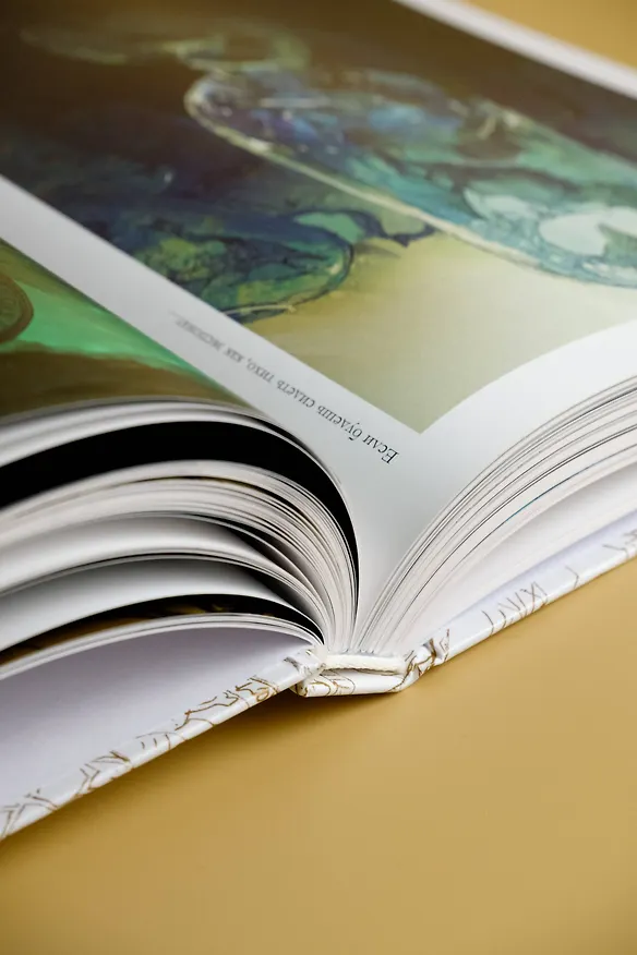 Книга Pone. Иллюстрации Поски Дэмидзу (Поска Дэмидзу) — 12