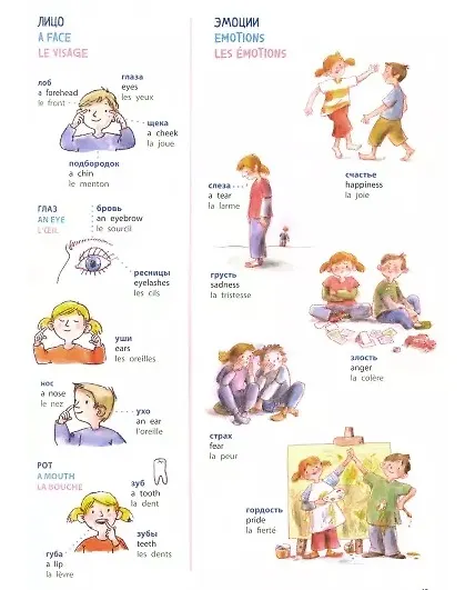 Книга Словарь в картинках. Добро пожаловать в Кукуево! Русский. Английский. Французский (Наташа Бучик, Кая Бучик) — 3