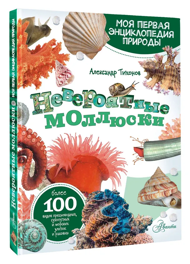 Книга Моллюски, кораллы, морские звезды, морские ежи (Александр Тихонов) — 4