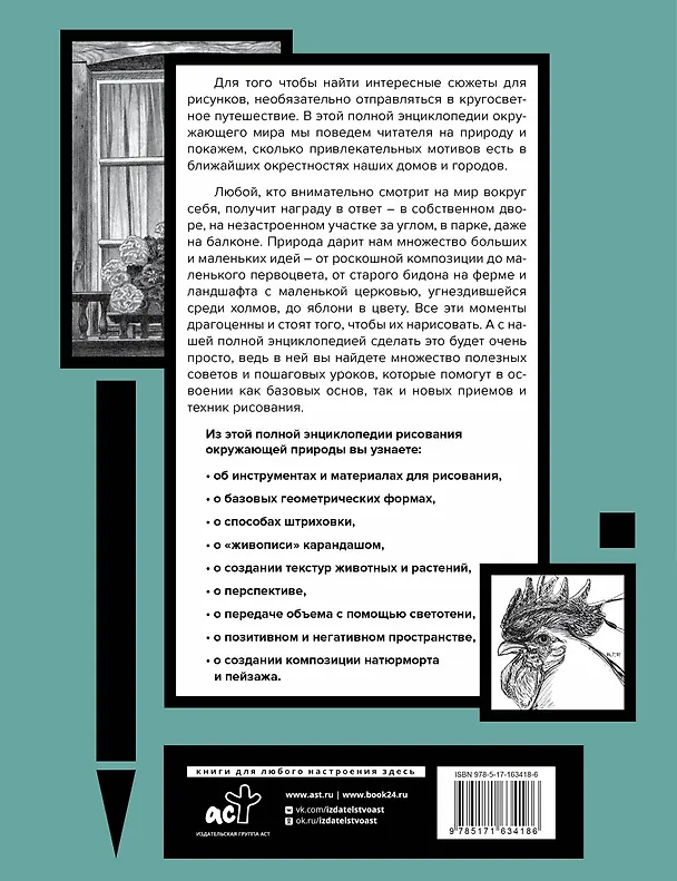 Книга Рисуем всё-всё! От кошек до деревьев и гор. Более 50 проектов (Анастасия Чудова) — 2