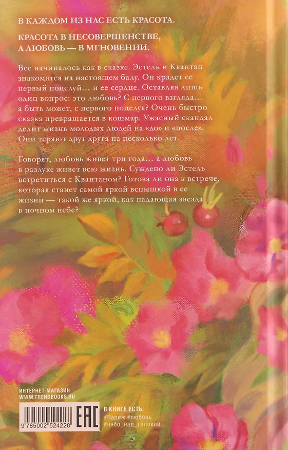Книга Падающая звезда (Дана Делон) — 2