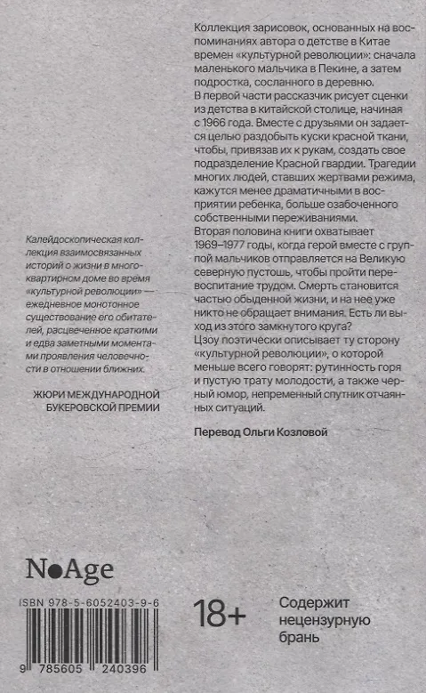 Книга Дом номер девять (Цзинчжи Цзоу) — 2