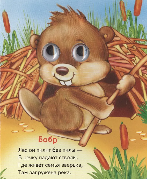 Книга Кто где живет (Андрей Богдарин) — 2