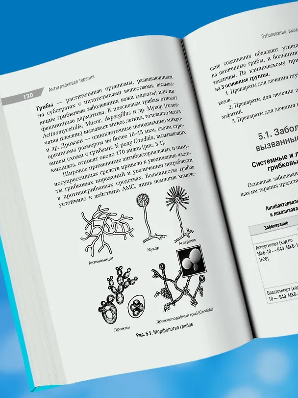 Книга Антимикробная терапия в педиатрии (Рита Кильдиярова) — 11