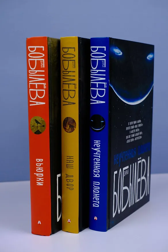 Книга Наш двор (Дарья Бобылева) — 9