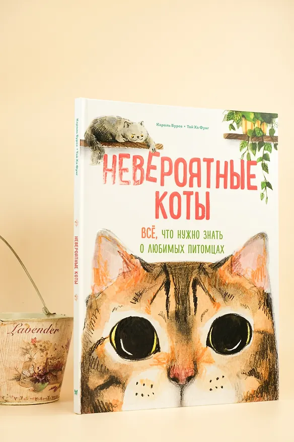 Книга Невероятные коты. Всё, что нужно знать о любимых питомцах (Кароль Бурсе) — 5