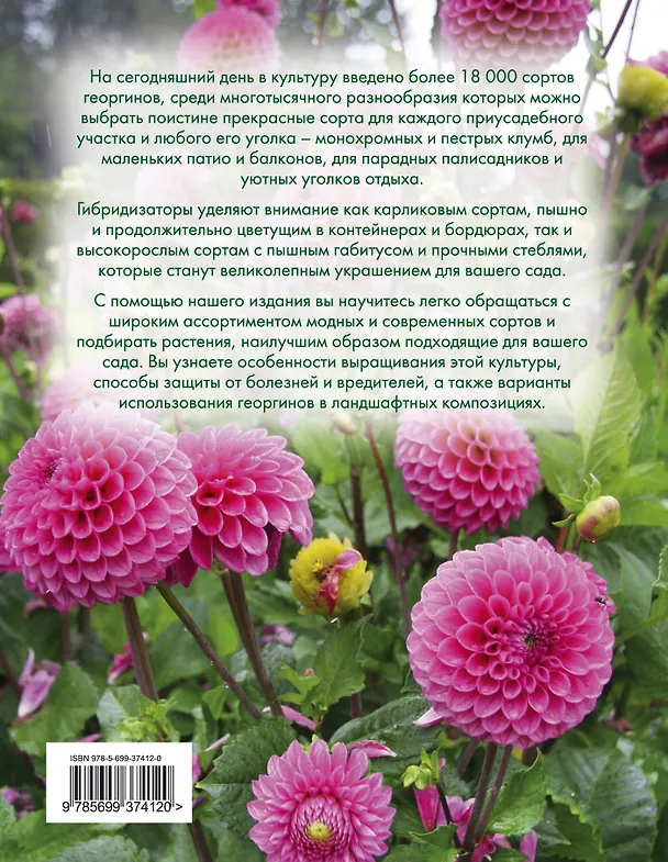 Книга Георгины (Анна Рубинина) — 2