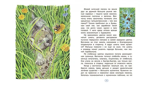 Книга История одного волчонка. Рассказ (Валентин Пажетнов) — 6