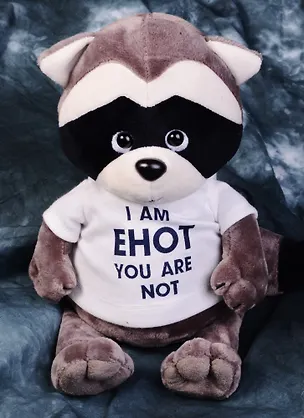 Мягкая игрушка Енотик Дэнни I am Енот (25 см) (OS618/25) 2592075