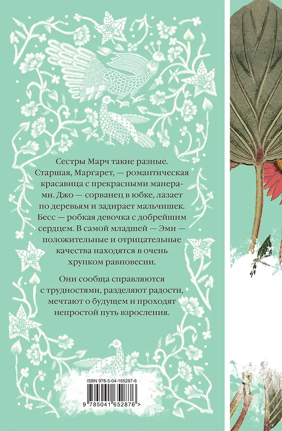 Книга Набор "Коллекция элегантной классики" (из 5-ти романов: Джейн Эйр, Вдали от обезумевшей толпы, Маленькая хозяйка Большого дома, Грозовой перевал, Маленькие женщины) () — 13