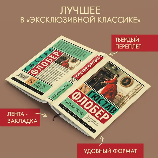 Книга Госпожа Бовари (Гюстав Флобер) — 4