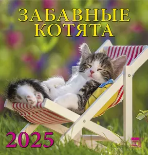 Календарь 2025г 160*170 "Забавные котята" настенный, на скрепке — 3053378 — 1