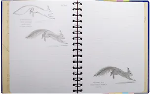 Книга SketchBook: Визуальный экспресс-курс по рисованию: Животные (синий) ()