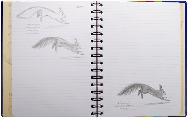 Книга SketchBook: Визуальный экспресс-курс по рисованию: Животные (синий) () — 1
