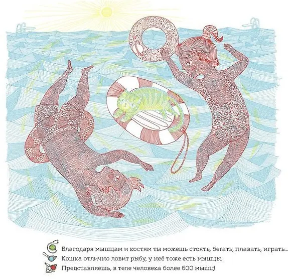 Книга Что у меня внутри? (Айна Бестард) — 7