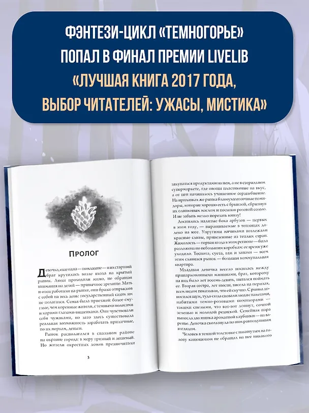 Книга Темногорье. Пропавшая дверь (Лада Кутузова) — 6