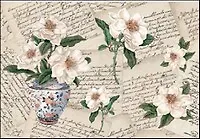 Бумага для декупажа рисовая Магнолия в вазе (TO-DO R095) (35х50) (упаковка)
