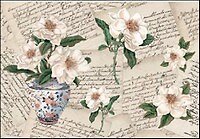 Бумага для декупажа рисовая Магнолия в вазе (TO-DO R095) (35х50) (упаковка) 2327282 — 1