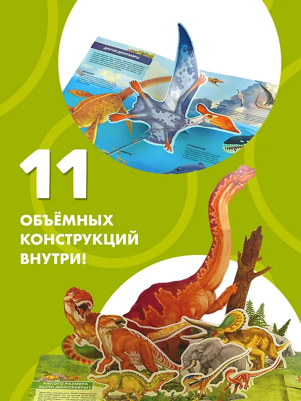 Книга Всё о динозаврах () — 8