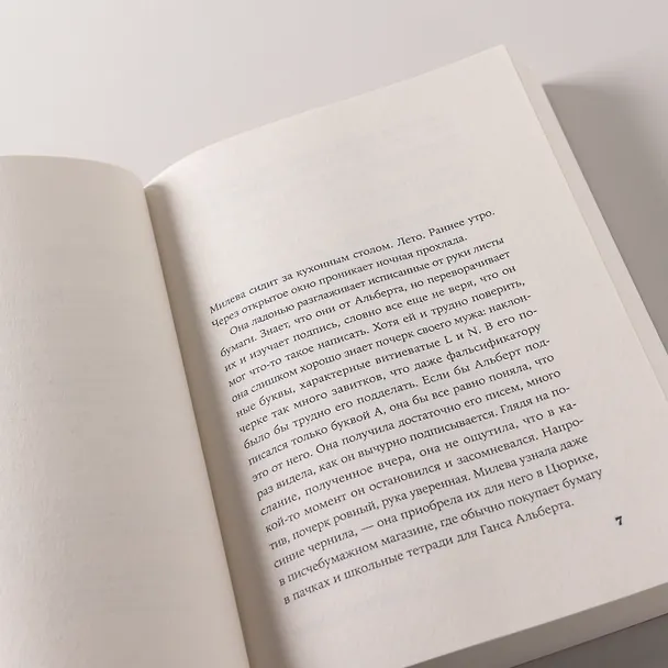 Книга Теория печали Милевы Эйнштейн (Славенка Дракулич) — 10