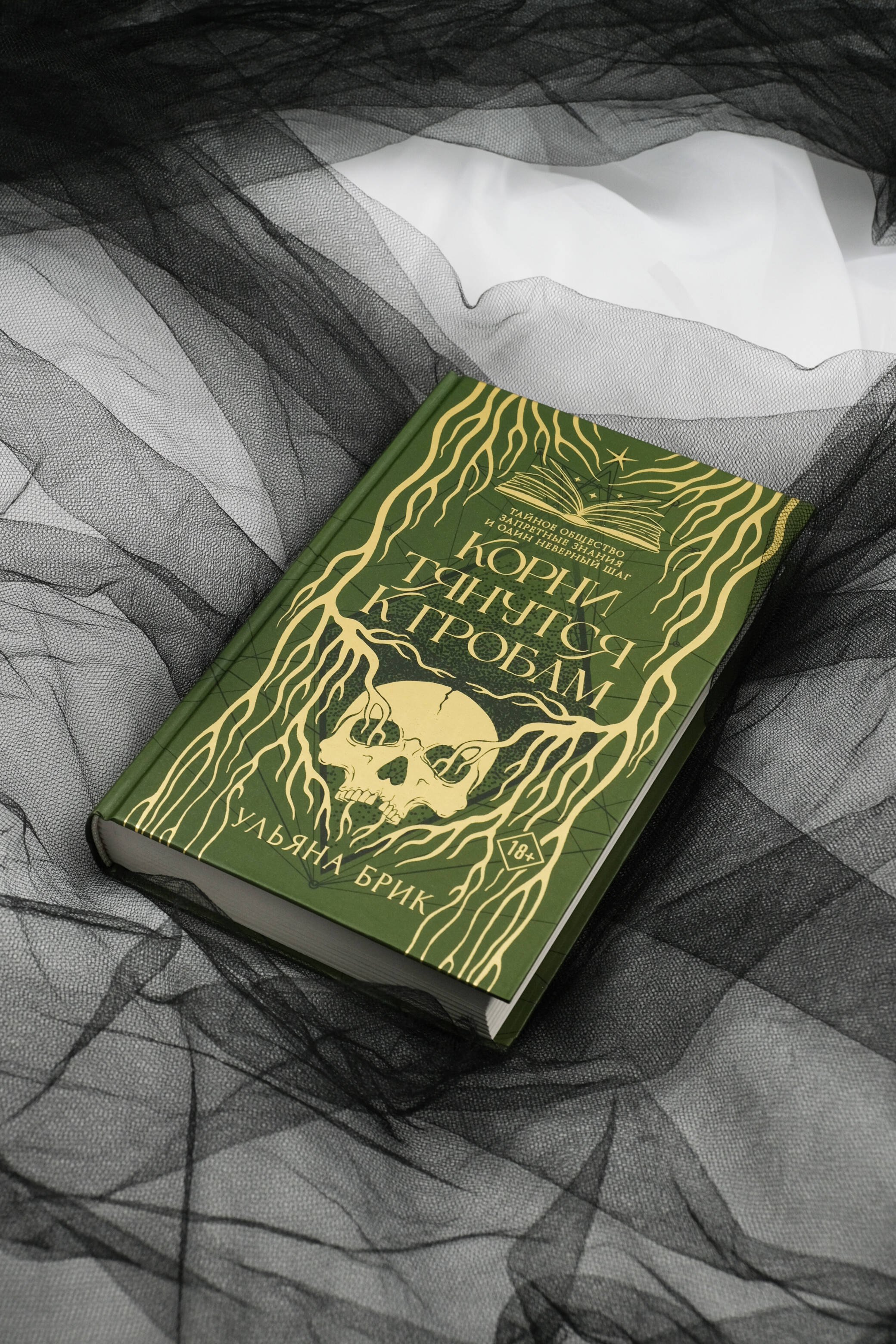 Изображение бумажной книги