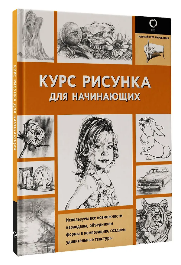 Книга Курс рисунка для начинающих (Диана Кардаччи) — 4
