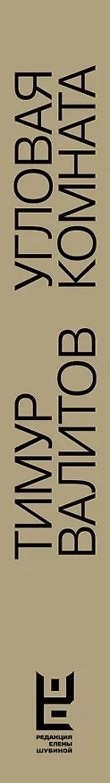 Книга Угловая комната (Тимур Валитов) — 6