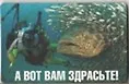 Сувенир Магнит 4*7см пластик. "а вот вам здрасьте" 2323729 — 1
