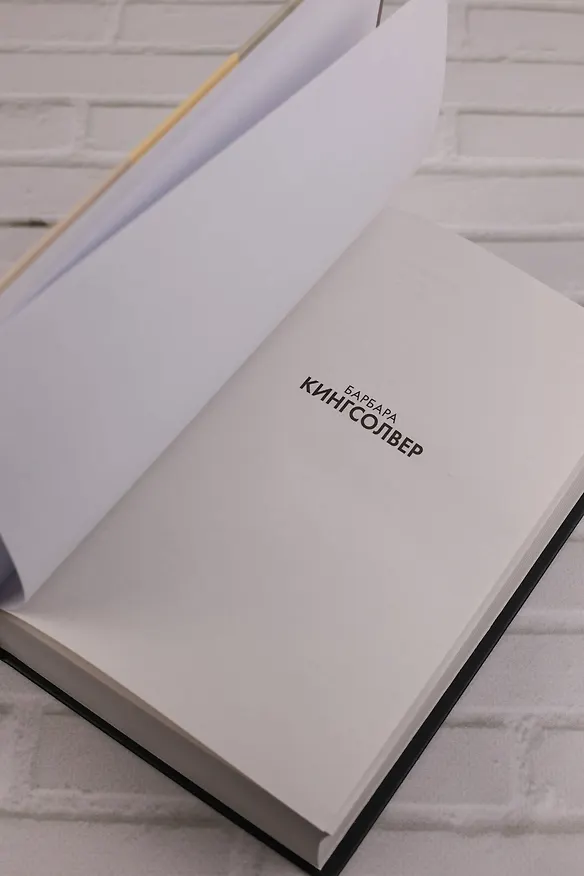 Книга Бесприютные (Барбара Кингсолвер) — 11