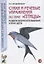 Стихи и речевые упражнения по теме "Птицы". Развитие логического мышления и речи у детей — 2751993 — 1