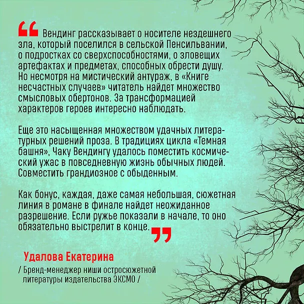 Книга Книга несчастных случаев (Чак Вендиг) — 8