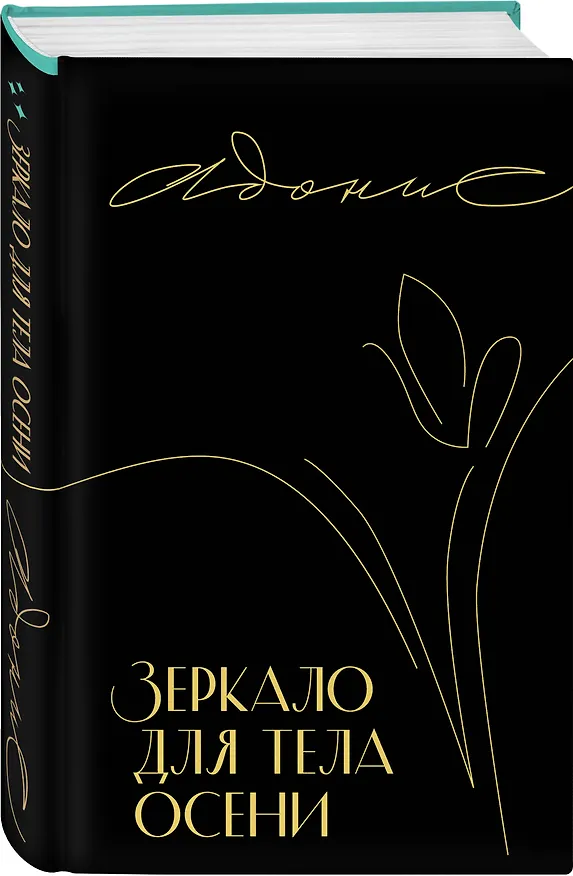 Книга Зеркало для тела осени (Адонис) — 4