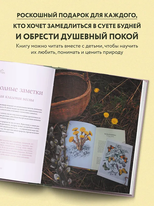 Книга Женственна от природы. Книга гармонии в душе и в доме. Стильный декор, вкусная еда и много лесной красоты (Наталья Савилова) — 7
