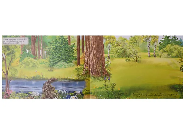 Книга 111 наклеек "Животные" (комплект из 3 книг) () — 2