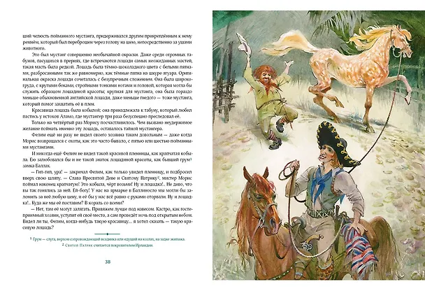Книга Всадник без головы (Томас Рид) — 10