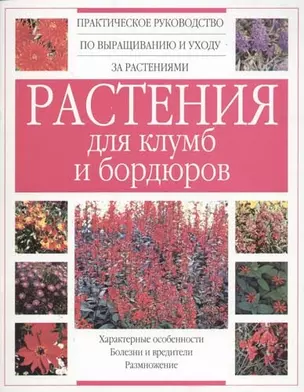 Растения для клумб и бордюров. Характерные особенности, болезни и вредители, размножение — 2054362 — 1