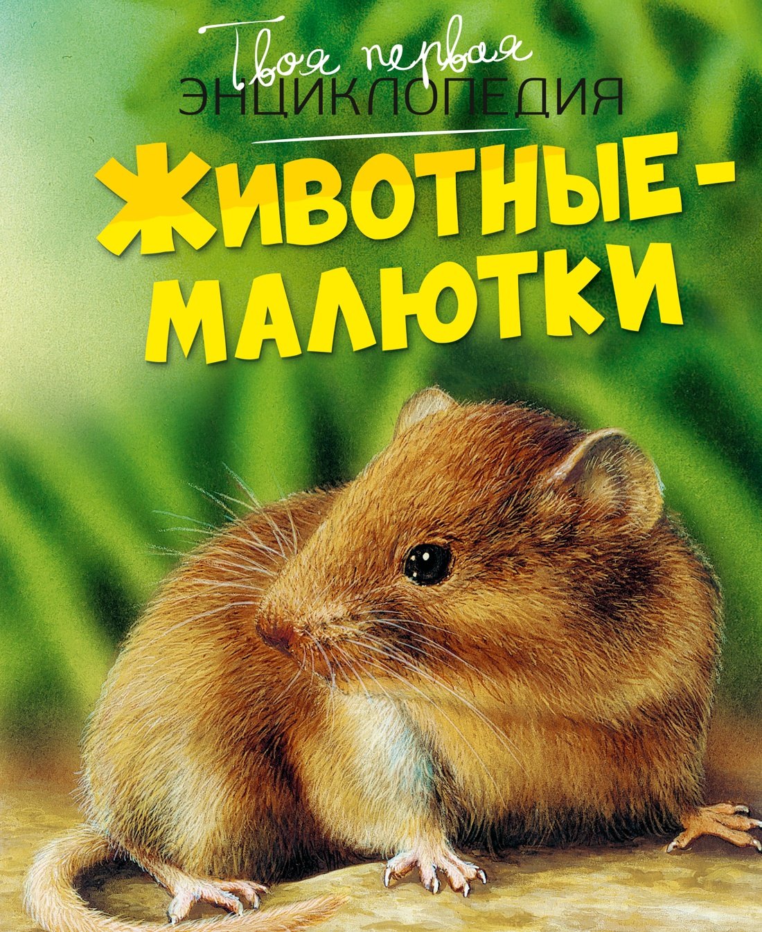 

Животные-малютки