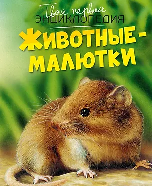 Книга Животные-малютки (Эмили Бомон, Жюли Дельфур)