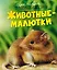 Животные-малютки — 3127179 — 1