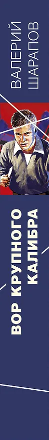 Книга Вор крупного калибра (Валерий Шарапов) — 3
