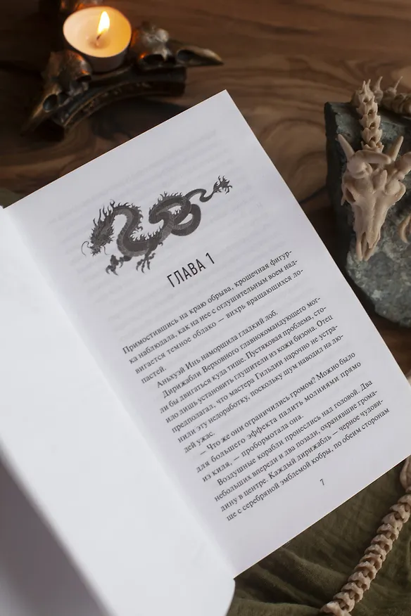 Книга О нефрите и драконах (Эмбер Чэнь) — 10