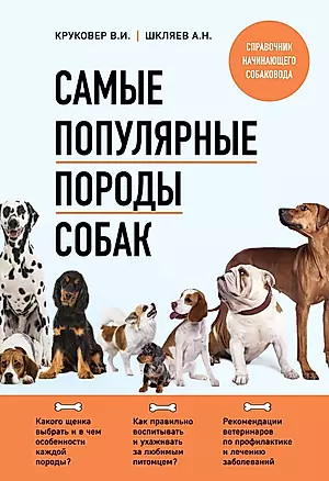 Самые популярные породы собак — 3012631 — 1