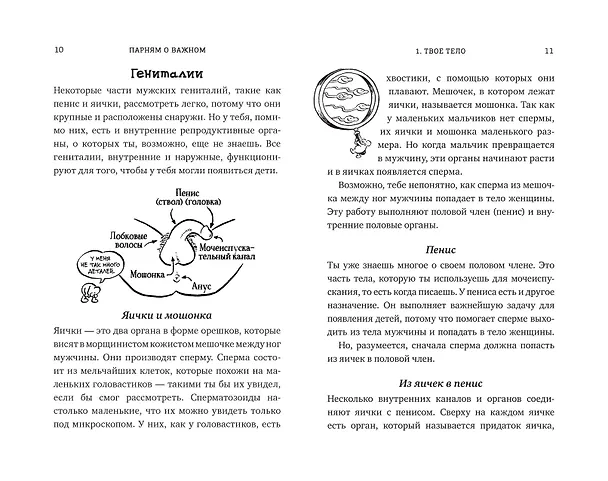 Книга Парням о важном. Все, что ты хотел знать о взрослении, изменениях тела, отношениях и многом другом (Карен Гравел) — 5