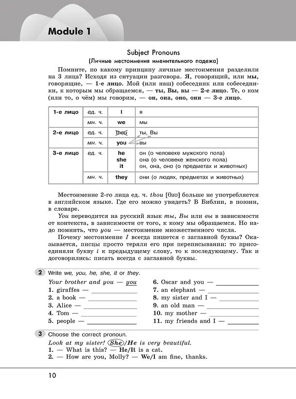 Книга Английский язык. 5 класс. Грамматический тренажёр (Светлана Тимофеева) — 4