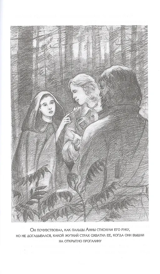 Книга Старая дорога. Черный Охотник. Быстрая Молния. Романы (Джеймс Оливер Кервуд) — 7