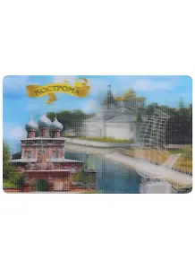Магнит Кострома 3D (винил)